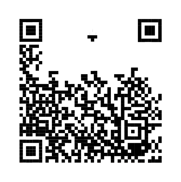 QR code preview